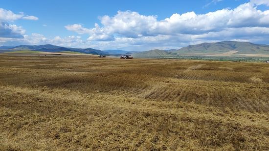 Фото Управления Россельхознадзора по Хакасии и Туве